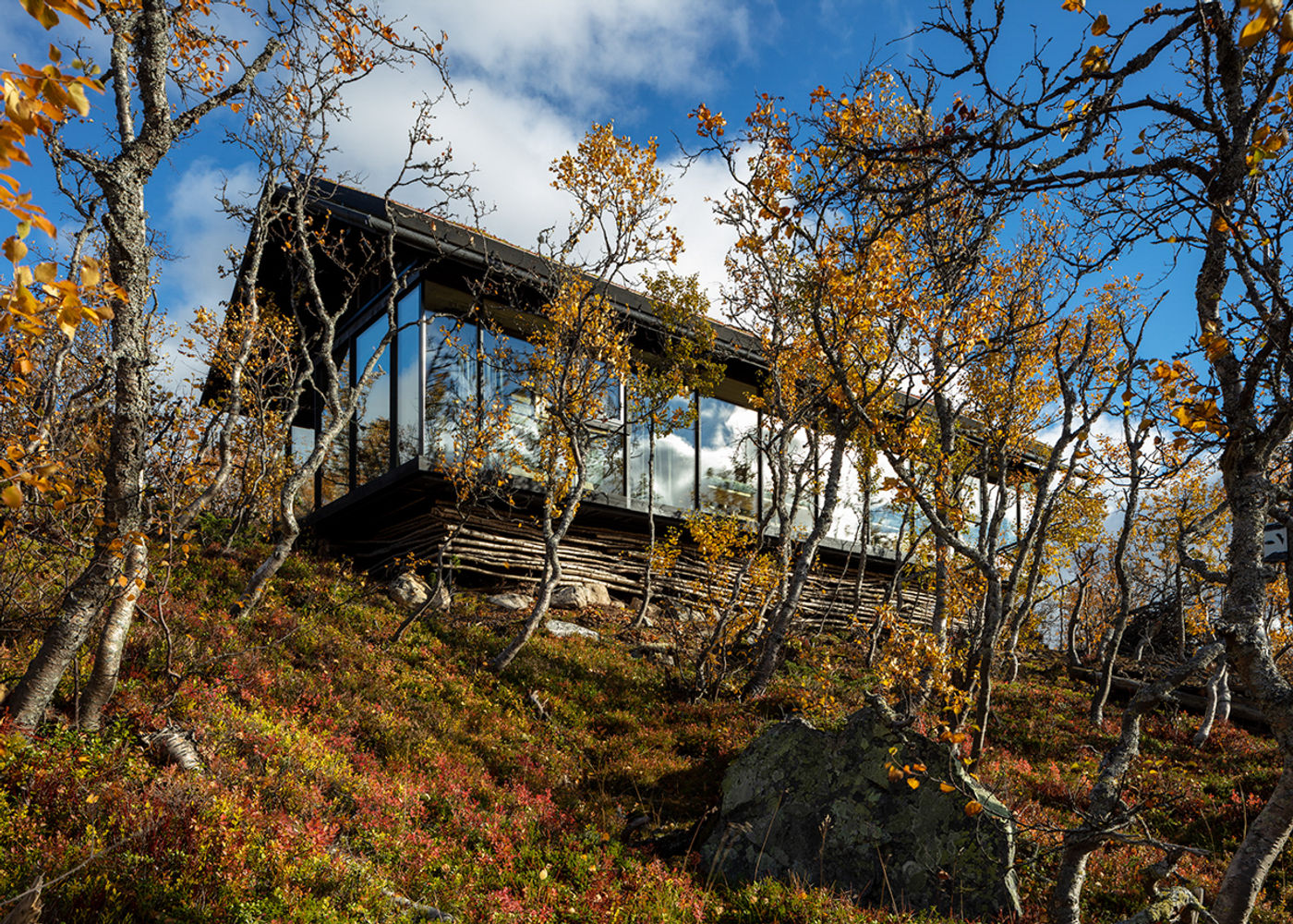 The cabin is raised over a steep, birch-covered hillside — a dark facade and large reflective windows with minimal disturbance to the rocks and autumn birches.