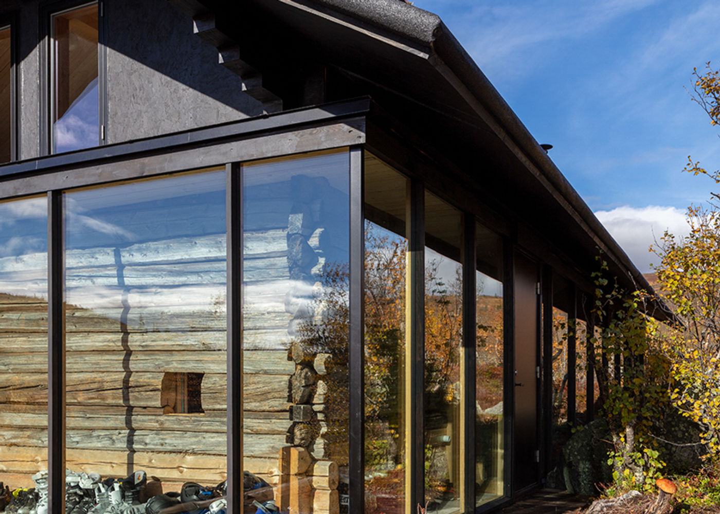 Corner glazing reveals a preserved log core integrated within a new volume — a triple-glazed façade opening the living area to the birch forest.
